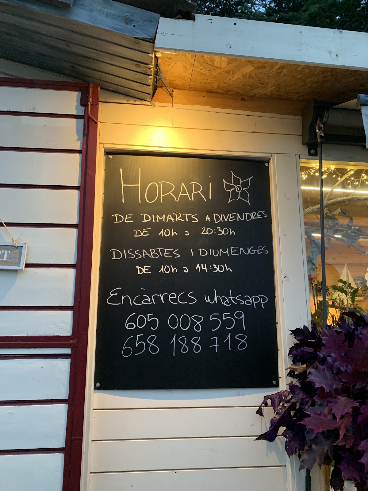 Fachada de la tienda al atardecer con el cartel de horarios y plantas en el escaparate