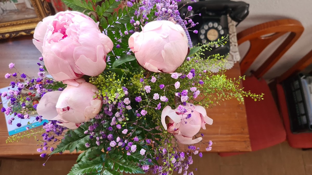 Ramo de rosas melocotón y alstroemeria blanca con eucalipto